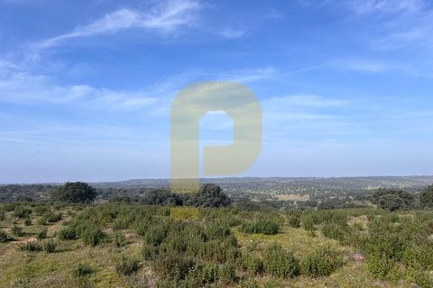 Landejendom i Rosmaninhal, Castelo Branco, Rosmaninhal - € 900.000 | Ref: PB2024386 - foto 18