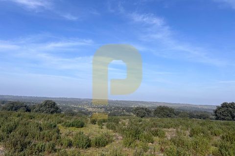 Landejendom i Rosmaninhal, Castelo Branco, Rosmaninhal - € 900.000 | Ref: PB2024386 - foto 20