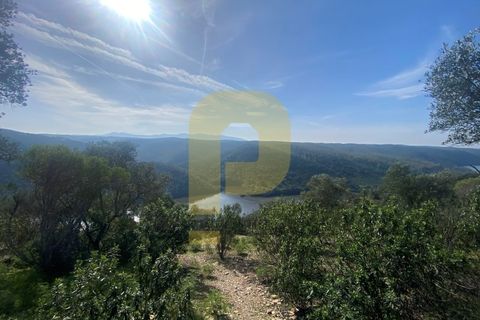 Helårsgrund i Rosmaninhal, Castelo Branco, Rosmaninhal - € 90.000 | Ref: PB2024384 - foto 6