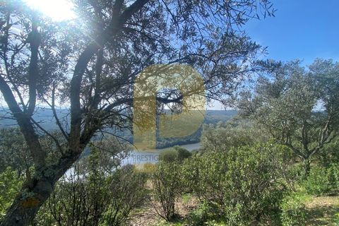 Helårsgrund i Rosmaninhal, Castelo Branco, Rosmaninhal - € 90.000 | Ref: PB2024384 - foto 8