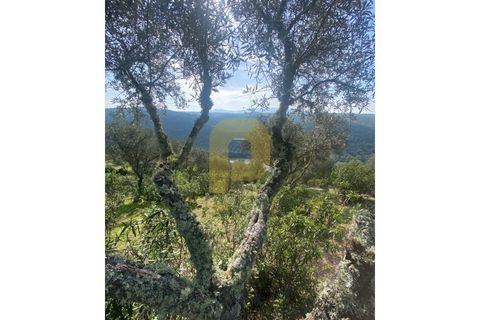 Helårsgrund i Rosmaninhal, Castelo Branco, Rosmaninhal - € 90.000 | Ref: PB2024384 - foto 10
