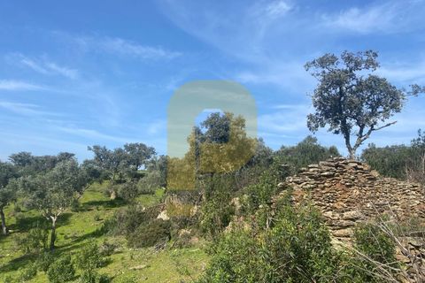 Helårsgrund i Rosmaninhal, Castelo Branco, Rosmaninhal - € 90.000 | Ref: PB2024384 - foto 13