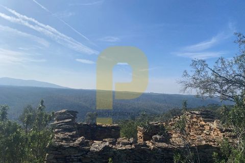 Helårsgrund i Rosmaninhal, Castelo Branco, Rosmaninhal - € 90.000 | Ref: PB2024384 - foto 14
