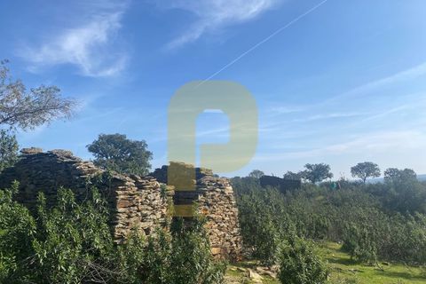 Helårsgrund i Rosmaninhal, Castelo Branco, Rosmaninhal - € 90.000 | Ref: PB2024384 - foto 1