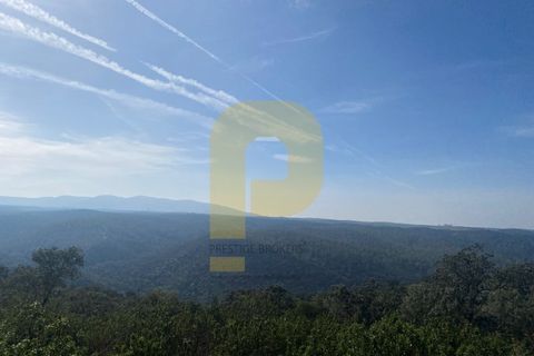 Helårsgrund i Rosmaninhal, Castelo Branco, Rosmaninhal - € 90.000 | Ref: PB2024384 - foto 16