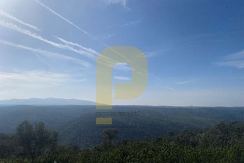 Helårsgrund i Rosmaninhal, Castelo Branco, Rosmaninhal - € 90.000 | Ref: PB2024384 - foto 21