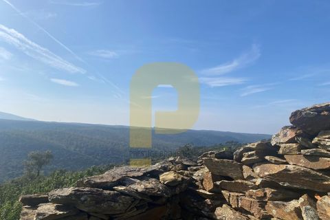Helårsgrund i Rosmaninhal, Castelo Branco, Rosmaninhal - € 90.000 | Ref: PB2024384 - foto 23