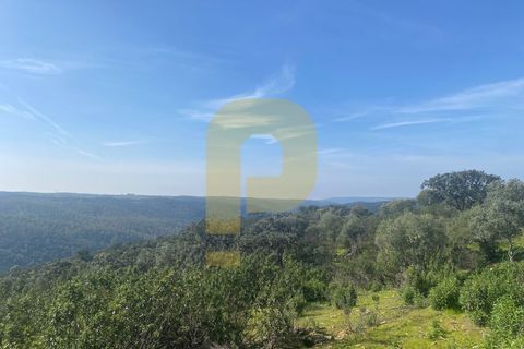 Helårsgrund i Rosmaninhal, Castelo Branco, Rosmaninhal - € 90.000 | Ref: PB2024384 - foto 26