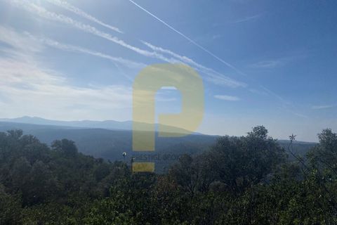 Helårsgrund i Rosmaninhal, Castelo Branco, Rosmaninhal - € 90.000 | Ref: PB2024384 - foto 29