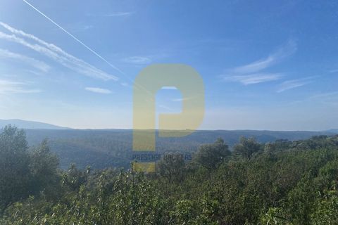 Helårsgrund i Rosmaninhal, Castelo Branco, Rosmaninhal - € 90.000 | Ref: PB2024384 - foto 32