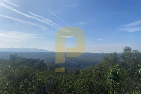 Helårsgrund i Rosmaninhal, Castelo Branco, Rosmaninhal - € 90.000 | Ref: PB2024384 - foto 33