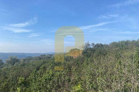 Helårsgrund i Rosmaninhal, Castelo Branco, Rosmaninhal - € 90.000 | Ref: PB2024384 - foto 34
