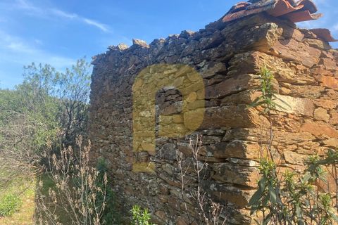 Helårsgrund i Rosmaninhal, Castelo Branco, Rosmaninhal - € 90.000 | Ref: PB2024384 - foto 35