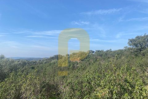 Helårsgrund i Rosmaninhal, Castelo Branco, Rosmaninhal - € 90.000 | Ref: PB2024384 - foto 38