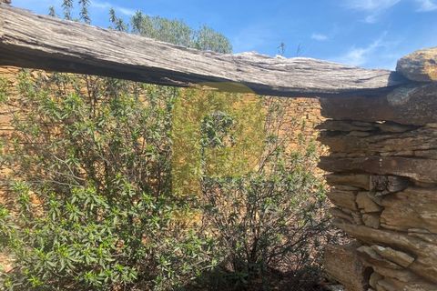 Helårsgrund i Rosmaninhal, Castelo Branco, Rosmaninhal - € 90.000 | Ref: PB2024384 - foto 44