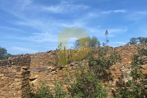 Helårsgrund i Rosmaninhal, Castelo Branco, Rosmaninhal - € 90.000 | Ref: PB2024384 - foto 45