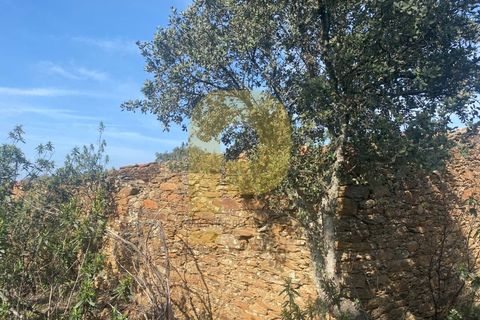 Helårsgrund i Rosmaninhal, Castelo Branco, Rosmaninhal - € 90.000 | Ref: PB2024384 - foto 47