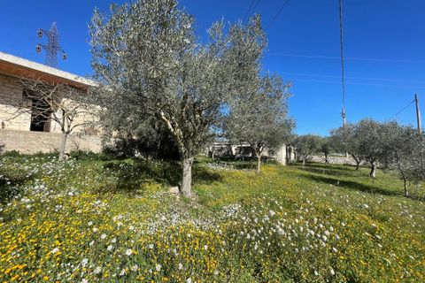 Villa i Modica, Ragusa, Modica - € 87.000 | Ref: 11400 - foto 3