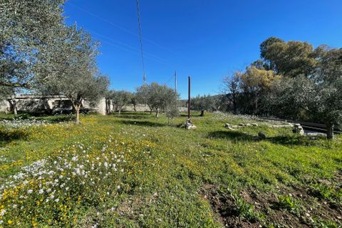 Villa i Modica, Ragusa, Modica - € 87.000 | Ref: 11400 - foto 4