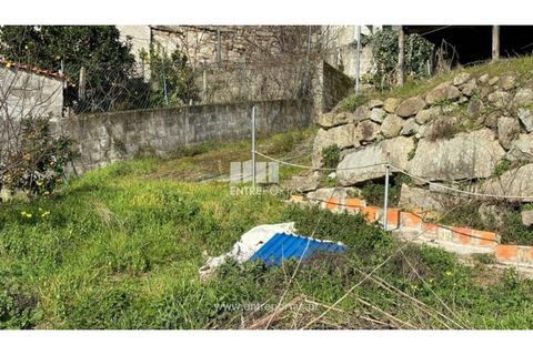 Helårsgrund i Gestaco, Porto, Gestaco - € 102.500 | Ref: MC09642 - foto 18