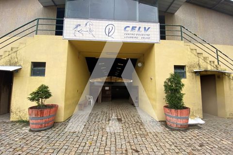 Landejendom i Guimaraes, Braga, Guimaraes - € 950.000 | Ref: 1330032/23GM - foto 3