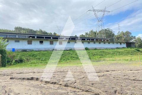 Landejendom i Guimaraes, Braga, Guimaraes - € 950.000 | Ref: 1330032/23GM - foto 5