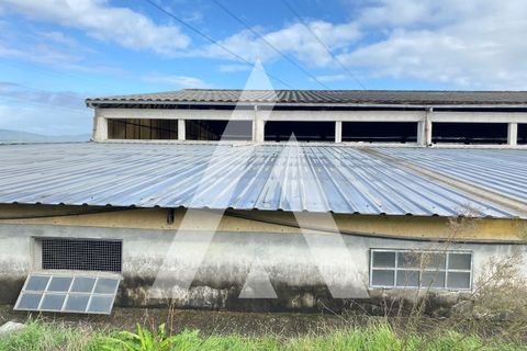 Landejendom i Guimaraes, Braga, Guimaraes - € 950.000 | Ref: 1330032/23GM - foto 6