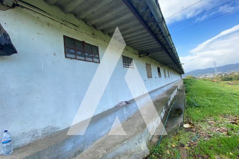 Landejendom i Guimaraes, Braga, Guimaraes - € 950.000 | Ref: 1330032/23GM - foto 8