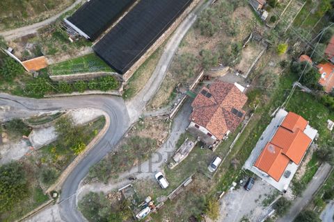 Villa a Soldano, Imperia, Soldano - € 540.000 | Ref: 22545 - foto 38