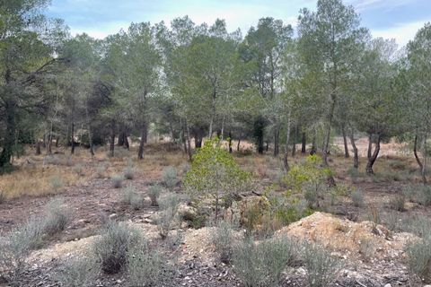 Helårsgrund i La Nucia, Alicante, La Nucia - € 735.000 | Ref: 4464 - foto 3