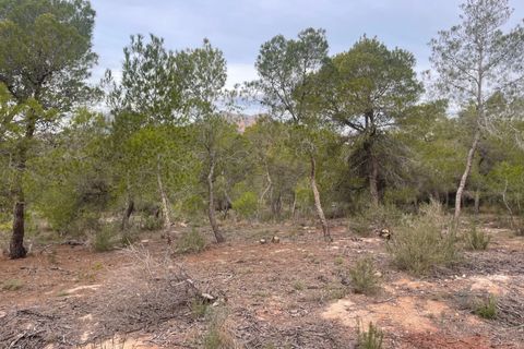 Helårsgrund i La Nucia, Alicante, La Nucia - € 735.000 | Ref: 4464 - foto 4