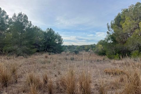 Helårsgrund i La Nucia, Alicante, La Nucia - € 735.000 | Ref: 4464 - foto 8