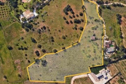 Helårsgrund i Lagoa, Faro, Lagoa - € 1.150.000 | Ref: 262 - foto 2