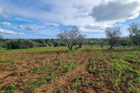 Helårsgrund i Lagoa, Faro, Lagoa - € 1.150.000 | Ref: 262 - foto 9