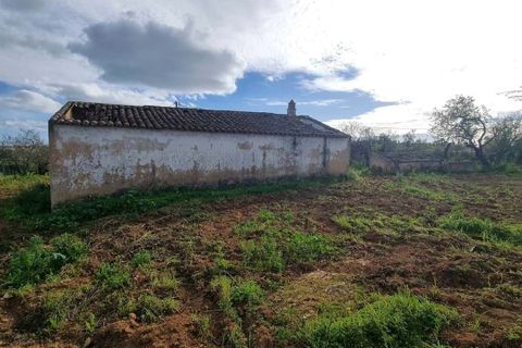 Helårsgrund i Lagoa, Faro, Lagoa - € 1.150.000 | Ref: 262 - foto 10