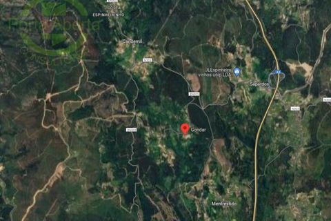 Tomt i Candemil e Gondar, Viana do Castelo, Candemil e Gondar - € 7 500 | Ref: SÒL_1285 - foto 2
