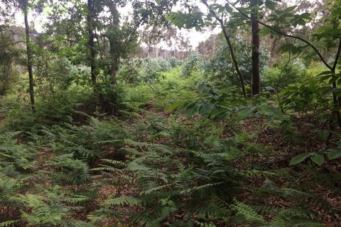 Helårsgrund i Candemil e Gondar, Viana do Castelo, Candemil e Gondar - € 5.000 | Ref: SÒL_1284 - foto 3