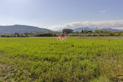 Terra a Alcudia, Mallorca, Alcudia - € 989.000 | Ref: S128 - foto 7