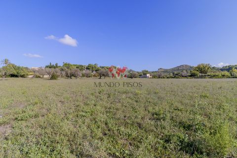 Terra a Alcudia, Mallorca, Alcudia - € 989.000 | Ref: S128 - foto 9