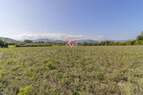 Terra a Alcudia, Mallorca, Alcudia - € 989.000 | Ref: S128 - foto 10