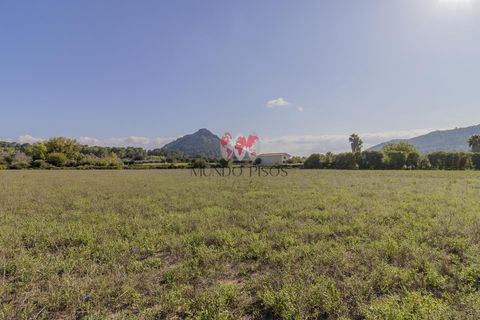 Terra a Alcudia, Mallorca, Alcudia - € 989.000 | Ref: S128 - foto 11