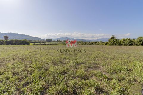 Terra a Alcudia, Mallorca, Alcudia - € 989.000 | Ref: S128 - foto 12