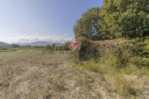 Terra a Alcudia, Mallorca, Alcudia - € 989.000 | Ref: S128 - foto 13