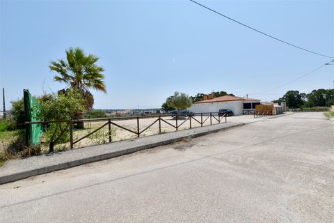 L'establiment comercial a Torres Vedras, Lisbon, Torres Vedras - € 2.200/mes | Ref: DH526 - foto 7
