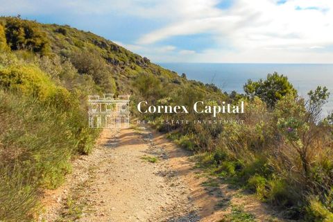 Grundstück in Begur, Gerona, Begur - € 2.600.000 | Ref: V-COSTABRAVA130 - Foto 9