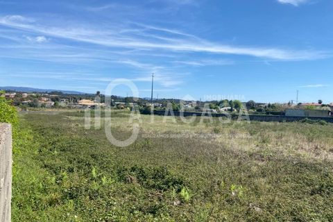 Helårsgrund i Agueda, Aveiro, Agueda - € 150.000 | Ref: 21/2023 - foto 2
