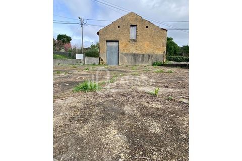 Helårsgrund i Agueda, Aveiro, Agueda - € 150.000 | Ref: 21/2023 - foto 10