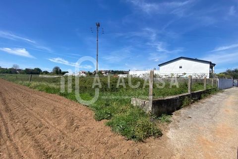 Helårsgrund i Agueda, Aveiro, Agueda - € 150.000 | Ref: 21/2023 - foto 12