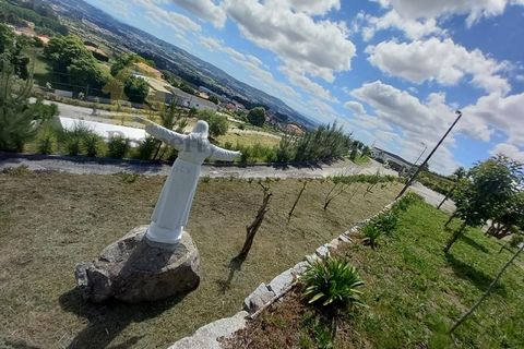 Farm i Paredes, Porto, Paredes - € 1.850.000 | Ref: Q521 - foto 19