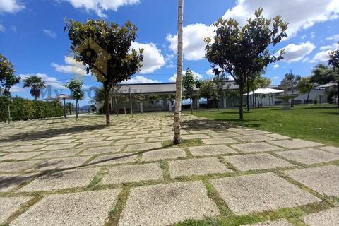 Farm i Paredes, Porto, Paredes - € 1.850.000 | Ref: Q521 - foto 22